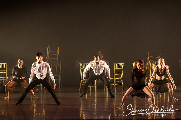 BOLERO pc Sharen Bradford-1521