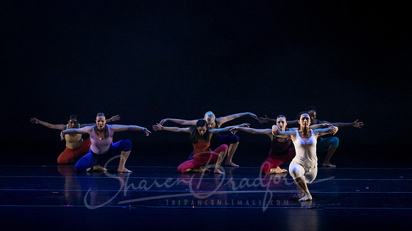 imPULSE dance project pc Sharen Bradford-4199