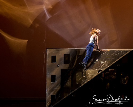 DIAVOLO - Voyage pc Sharen Bradford-0337
