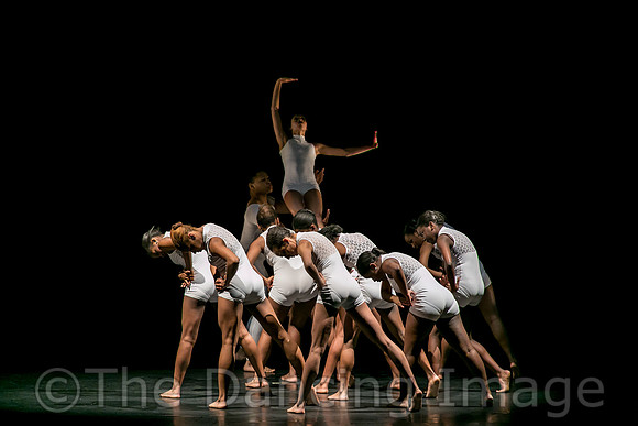 Convergent-0196
