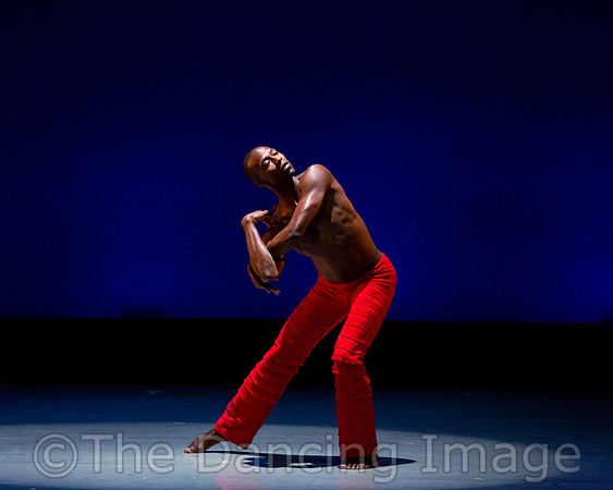 Alvin Ailey ADT-0024