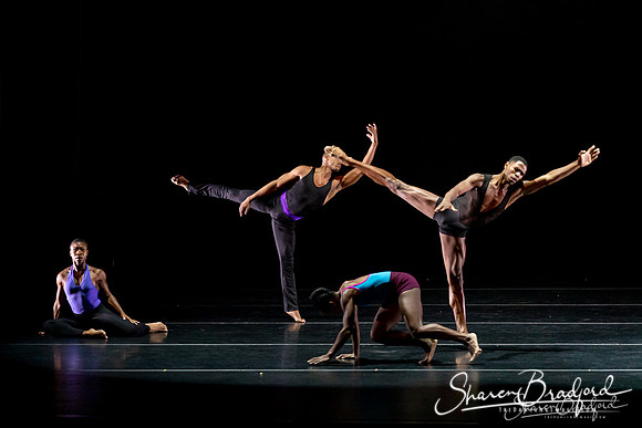 DBDT Execution of a Sentiment pc Sharen Bradford-0928