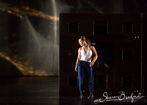 DIAVOLO - Voyage pc Sharen Bradford-0371