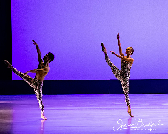 Ballet 37 pc Sharen Bradford-0340