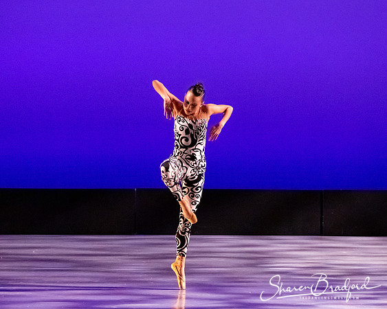Ballet 37 pc Sharen Bradford-0488