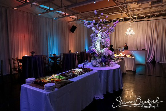 BWD Gala 2019 pc Sharen Bradford-0157