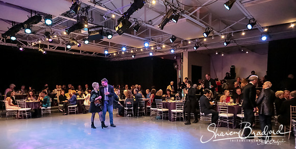 BWD Gala 2019 pc Sharen Bradford-0310