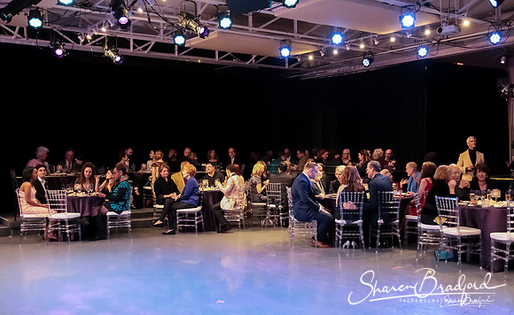 BWD Gala 2019 pc Sharen Bradford-0311