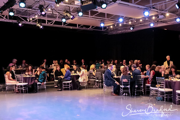 BWD Gala 2019 pc Sharen Bradford-0312