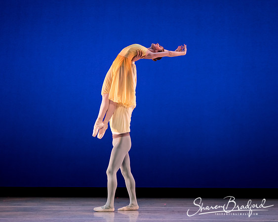 American Pas de Deux pc Sharen Bradford-0455
