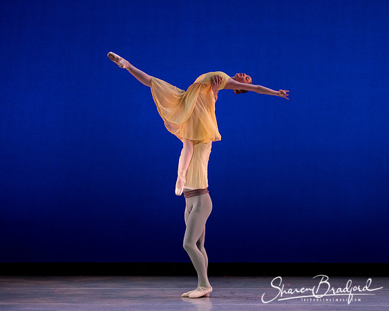 American Pas de Deux pc Sharen Bradford-0553