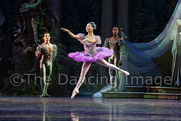 TB Sleeping Beauty Wed.-0078