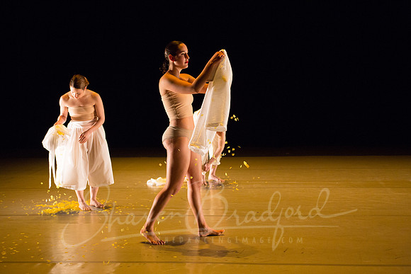 DCCD Yellow - pc Sharen Bradford-0040