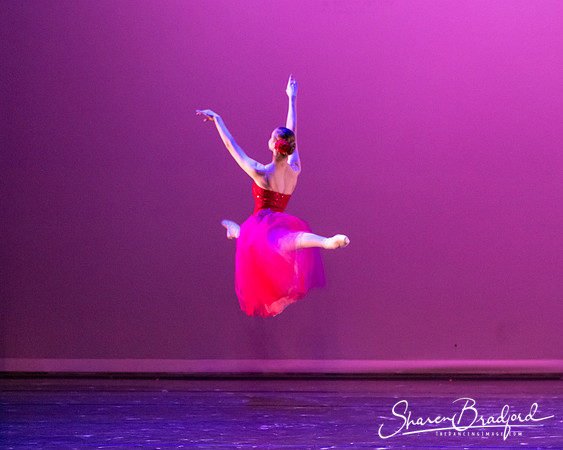 Waltz of the Flowers pc Sharen Bradford-2781