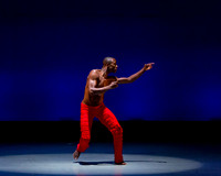 Alvin Ailey ADT-0010