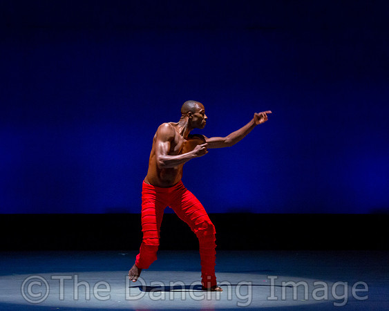 Alvin Ailey ADT-0010