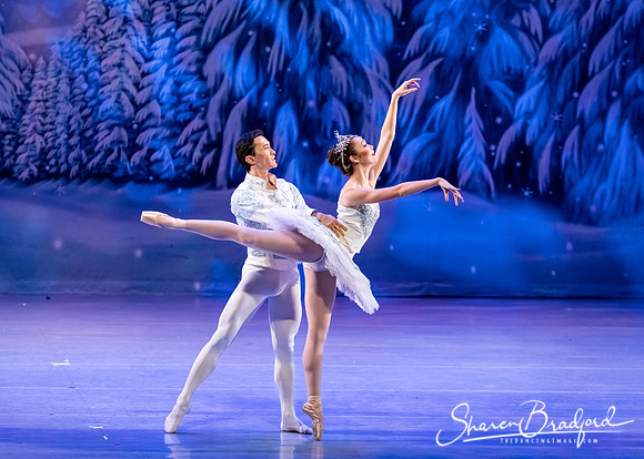 CCBT Nutcracker 19 pc Sharen Bradford-4842