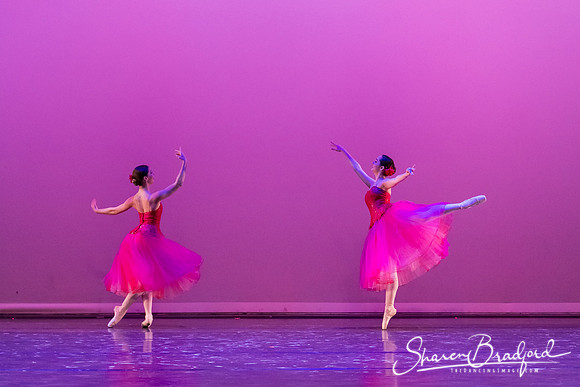 Waltz of the Flowers pc Sharen Bradford-2827