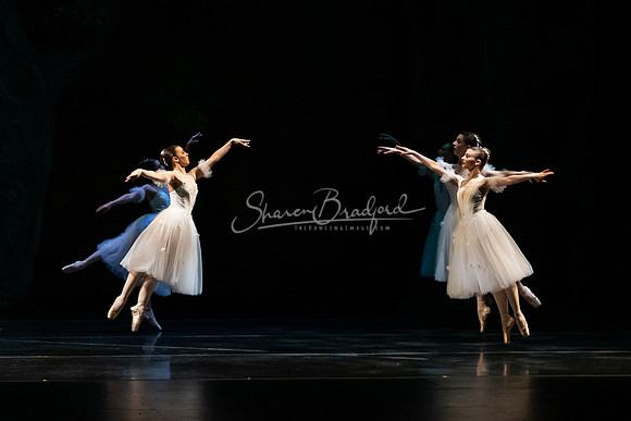 Ballet NTX Sleeping Beauty pc Sharen Bradford-1390