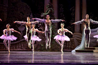 TB Sleeping Beauty Wed.-0053