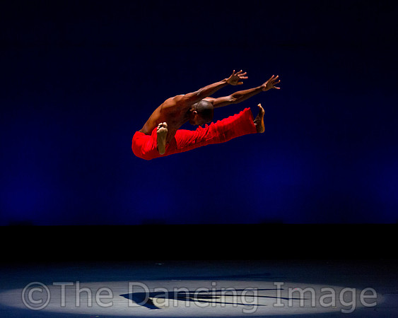 Alvin Ailey ADT-0099