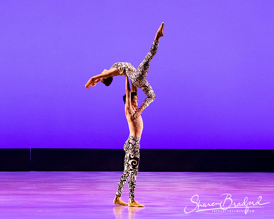 Ballet 37 pc Sharen Bradford-0445