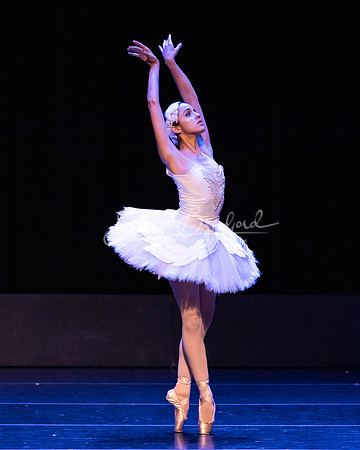 Dying Swan pc Sharen Bradford-1168