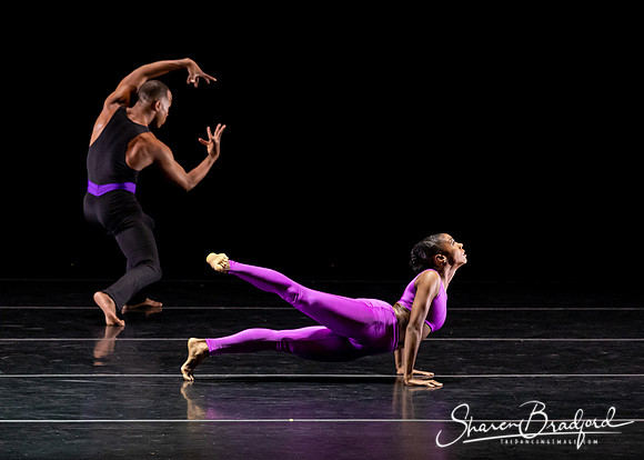 DBDT Execution of a Sentiment pc Sharen Bradford-0992