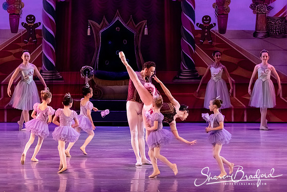 CCBT Nutcracker 19 pc Sharen Bradford-5375