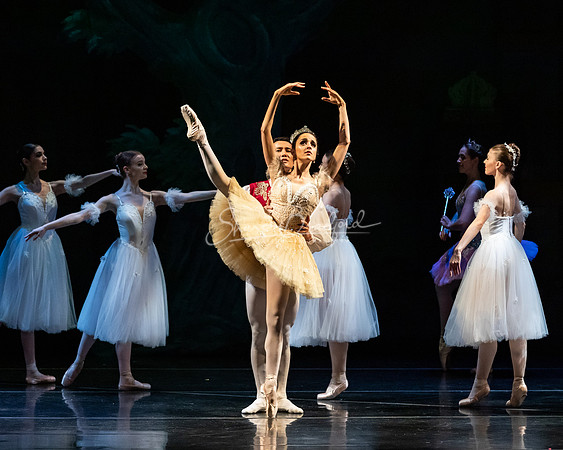 Ballet NTX Sleeping Beauty pc Sharen Bradford-1296