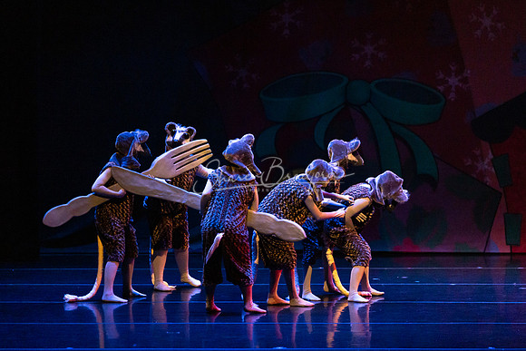 BNT Nutcracker Battle2 pc Sharen Bradford-2817