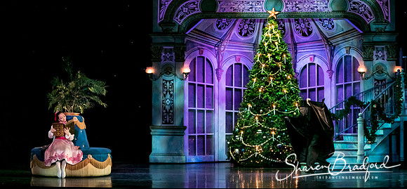 Nutcracker evening pc Sharen Bradford-6384