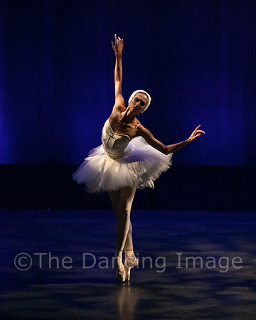 Dying Swan_0345