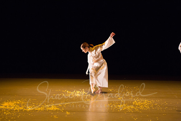 DCCD Yellow - pc Sharen Bradford-0067