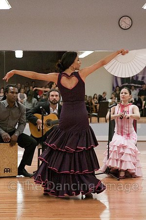 Flamenco-2-47