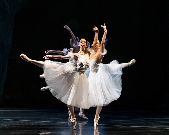 Ballet NTX Sleeping Beauty pc Sharen Bradford-1411
