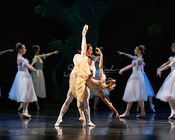 Ballet NTX Sleeping Beauty pc Sharen Bradford-1373
