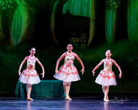 Tea Party Ladies-0320