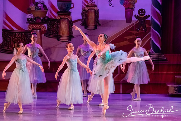 CCBT Nutcracker 19 pc Sharen Bradford-5389