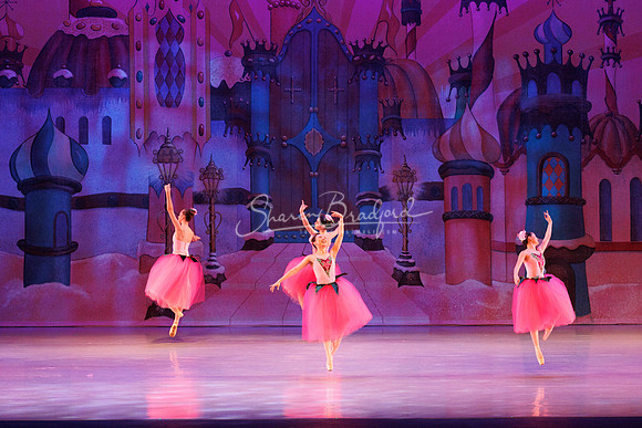 CPA Nutcracker 11-26-23 pc Sharen Bradford-8417