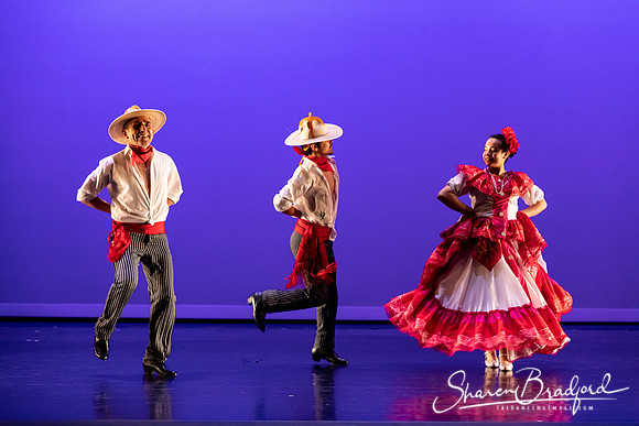 Colima pc Sharen Bradford-40146