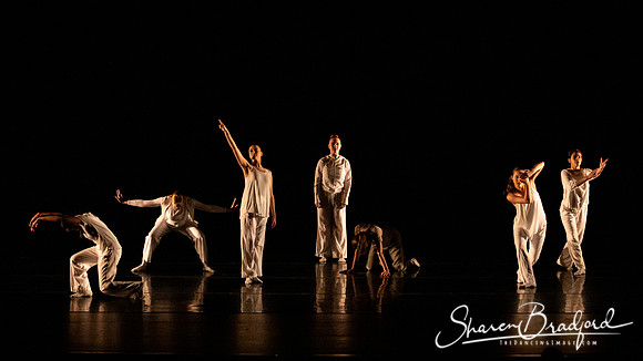 FW Academy of Fine Arts pc Sharen Bradford-2844