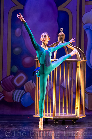 Royale Ballet Nutcracker-1806