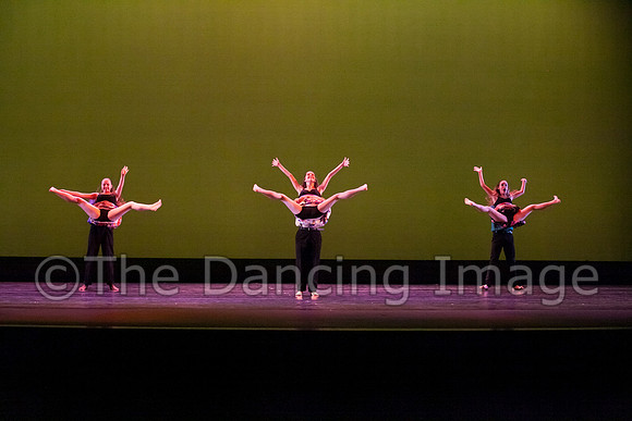 Bay Area Houston Ballet-1021