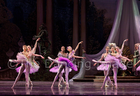 TB Sleeping Beauty Wed.-0113