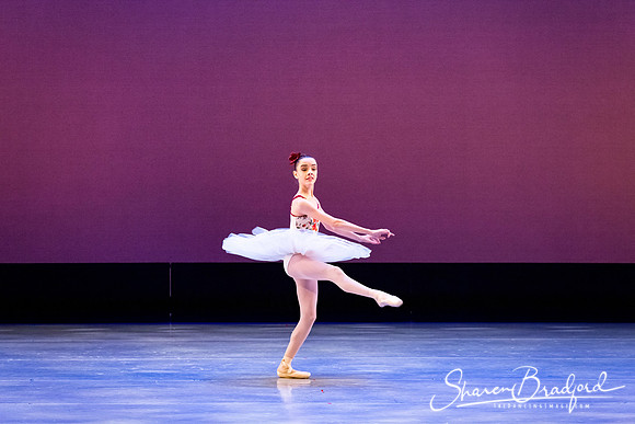 Gardens of Aranjuez pc Sharen Bradford-0249