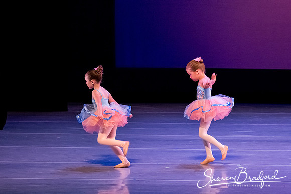 Fairy Dolls pc Sharen Bradford-0308