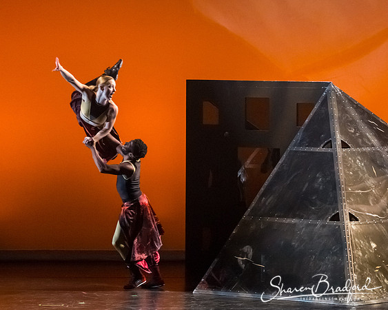 DIAVOLO - Voyage pc Sharen Bradford-0305