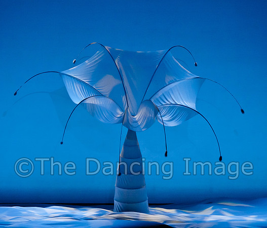 Botanica-0044
