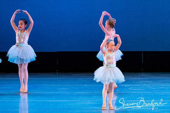 Crystal Fairies pc Sharen Bradford-0399
